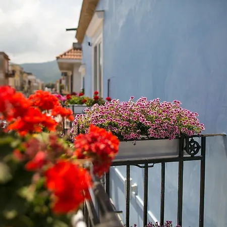 A Vucciria