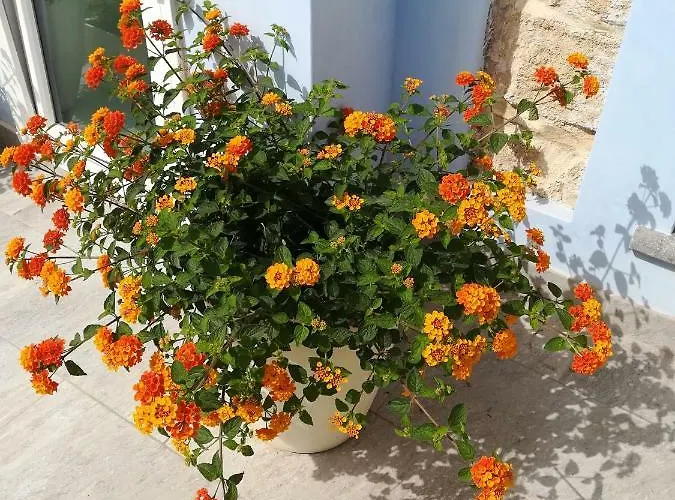 Bed & Breakfast A Vucciria 3*