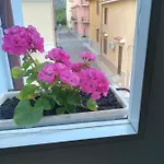 A Vucciria Terrasini