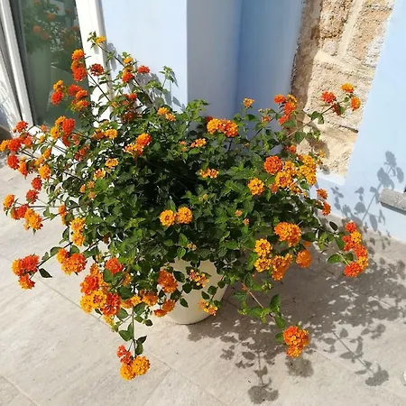 Bed and Breakfast A Vucciria 3*