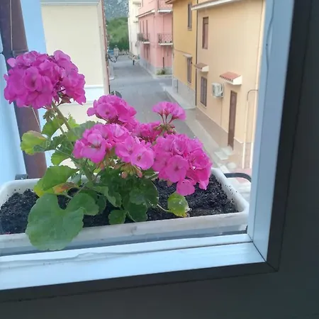 A Vucciria Терразини