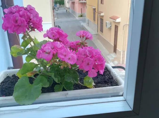 A Vucciria Terrasini